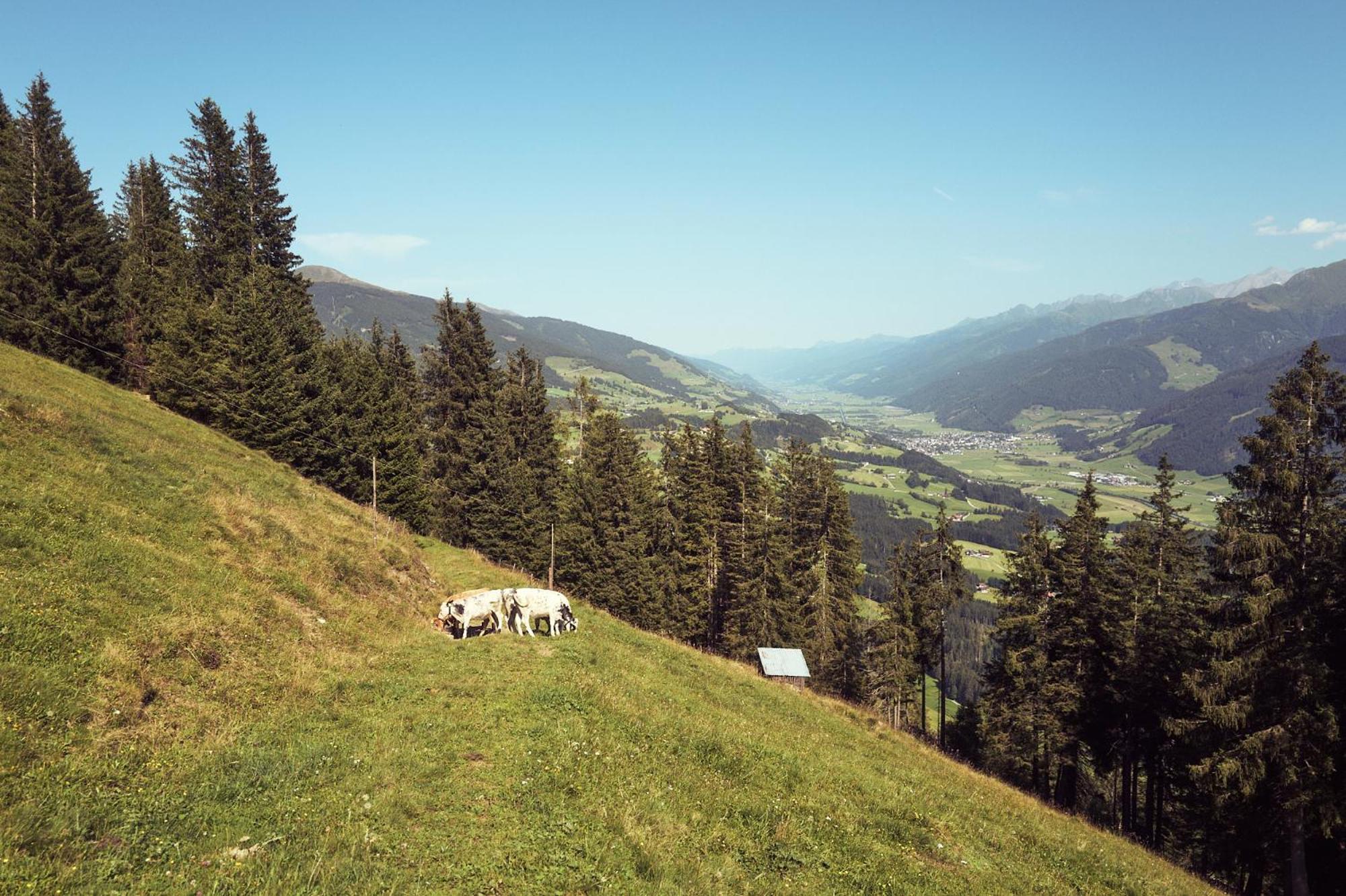 Peter'S - Bergbauernhof Mit Weitblick Apartment Bramberg am Wildkogel Exterior photo